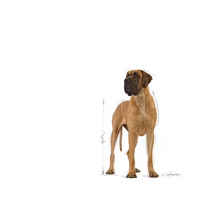 Load image into Gallery viewer, Royal Canin Great Dane Dog Food 12kg