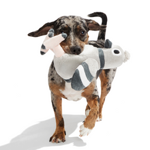 Load image into Gallery viewer, Bark Flappin' Flossie Dog Toy