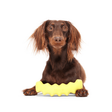 Load image into Gallery viewer, Bark Crinkle Fry Dog Toy