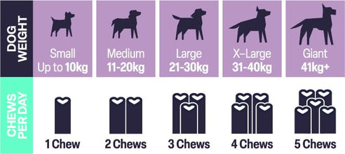 Load image into Gallery viewer, Natural VetCare Health & Wellbeing Chews for Dogs – Age Well, Calm & Settle, Daily Multivitamin, Gut Balance & Mobility – Vet-Formulated Chews