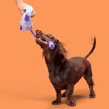 Load image into Gallery viewer, Bark Adelaide Emu Dog Toy