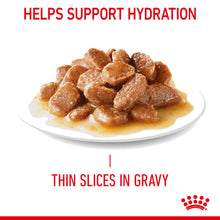 Load image into Gallery viewer, Royal Canin Wet Cat Food Hair & Skin Care in Gravy Pack of 12 x 85g