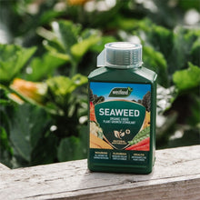 Load image into Gallery viewer, Westland Seaweed Specialist Liquid Feed 1L