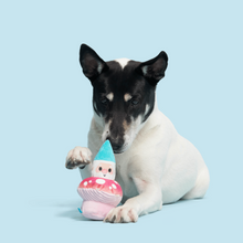 Load image into Gallery viewer, Bark Fun Guy Gnomie Homie Dog Toy