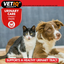 Load image into Gallery viewer, VETIQ Urinary Care Paste 100G
