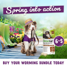 Load image into Gallery viewer, Drontal Tasty Bone XL Wormer Tablets, Convenient for Large Dogs (Over 20kg) 6 Tablets