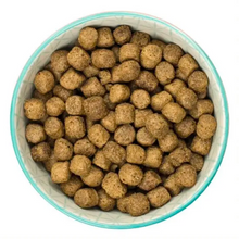 Load image into Gallery viewer, Burns Chicken & Brown Rice Dog Food 2Kg