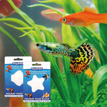 Load image into Gallery viewer, King British Holiday Food Block For Cold Water & Tropical Fish
