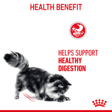 Load image into Gallery viewer, Royal Canin Wet Cat Food Digestive Sensitive Pouch 12 x 85 g