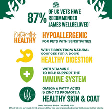 Load image into Gallery viewer, James Wellbeloved Adult Dog Food Lamb in Gravy Pouch 48 x 90g