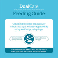 Load image into Gallery viewer, Burgess Excel Dualcare Recovery For Rabbits & Guinea Pigs 10x60g