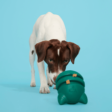 Load image into Gallery viewer, Bark Aurora Beast Dog Toy