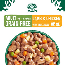Load image into Gallery viewer, James Wellbeloved Adult Dog Food Grain Free Lamb in Gravy Pouch 90g x 12