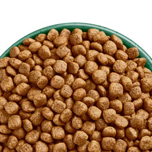 Load image into Gallery viewer, James Wellbeloved Adult Small Breed Dog Food Grain Free Turkey & Veg