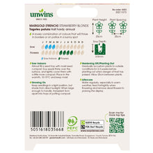 Load image into Gallery viewer, Marigold (French) Strawberry Blonde