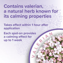 Load image into Gallery viewer, Beaphar Calming Spot-On for Cats 3 Pipettes