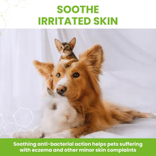 Load image into Gallery viewer, Vetzyme Anti-Bacterial Powder 40g