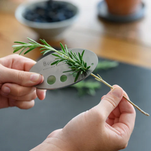 Load image into Gallery viewer, Burgon & Ball Asteraceae Herb Set