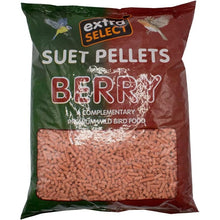 Load image into Gallery viewer, Extra Select Suet Pellets Complementary Wild Bird Food Berry Refill 3kg