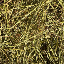 Load image into Gallery viewer, HayDay Sweet and Munchy Ryegrass