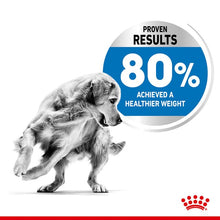 Load image into Gallery viewer, Royal Canin CCN Medium Light Weight Care Dog Food 12kg