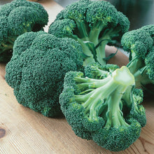 Load image into Gallery viewer, Broccoli (Calabrese) Green Magic