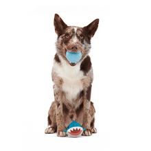 Load image into Gallery viewer, Bark Great White Dwight Dog Toy