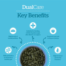 Load image into Gallery viewer, Burgess Excel Dualcare Recovery For Rabbits & Guinea Pigs 10x60g