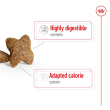 Load image into Gallery viewer, Royal Canin Mini Adult Dry Dog Food - All Sizes