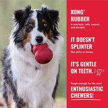 Load image into Gallery viewer, KONG Goodie Bone XL Dog Toy