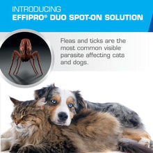 Load image into Gallery viewer, Virbac Effipro Duo For Cats & Dogs