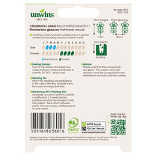 Load image into Gallery viewer, Ornamental Grass Millet Purple Majesty F1