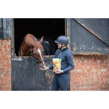 Load image into Gallery viewer, Equilibrium Simply Irresistible Horse Treat- Various Flavours