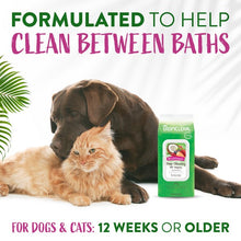 Load image into Gallery viewer, TropiClean Deep Cleaning Wipes 100s