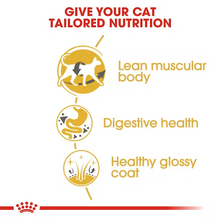 Load image into Gallery viewer, Royal Canin Siamese Cat Food