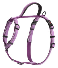 Load image into Gallery viewer, Halti Walking Harness For Dogs Various Colours & Sizes