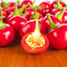 Load image into Gallery viewer, Pepper (Chilli) Orange Koral