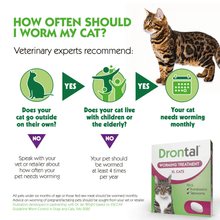 Load image into Gallery viewer, Drontal Wormer XL Tablets, Convenient for Large Cats (Over 4kg), All Pack Sizes