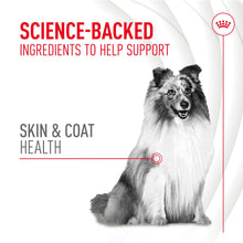 Load image into Gallery viewer, Royal Canin Adult Skin & Coat Supplement 240g