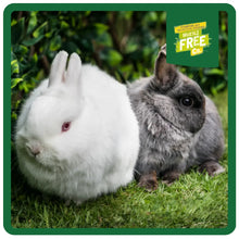 Load image into Gallery viewer, Burgess Excel Rabbit Food Nuggets For Junior & Dwarf Breeds With Mint