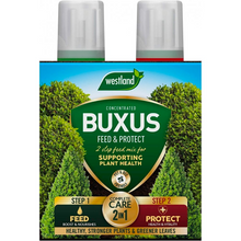 Load image into Gallery viewer, Westland 2 in1 Feed and Protect Buxus 2 x 500ml