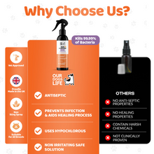 Load image into Gallery viewer, Our Dogs Life Hypochlorous Skin & Wound Spray 250ml