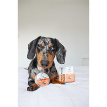 Load image into Gallery viewer, Our Dogs Life Paw & Nose Balm 60ml - Blend Of Natural Oils