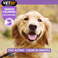Load image into Gallery viewer, VETIQ Serene Calming 50G