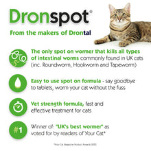 Load image into Gallery viewer, Dronspot Spot On Wormer for Small Cats (0.5 to 2.5kg) 6 Pipettes