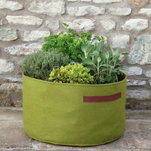 Load image into Gallery viewer, Haxnicks Vigoroot Planter