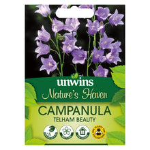 Load image into Gallery viewer, NH Campanula Telham Beauty