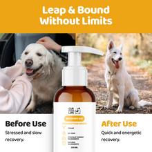 Load image into Gallery viewer, Our Dogs Life Recovery Aid Prescription Drops 200ml