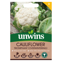 Load image into Gallery viewer, Cauliflower Triomphant