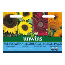 Load image into Gallery viewer, Sunflower Allsorts Collection Pack